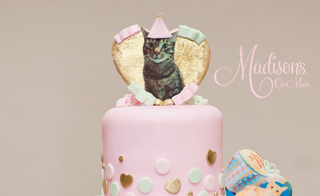  Taylor and Wilson Cat Birthday Cake 