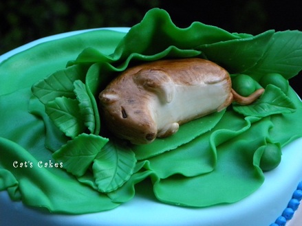 Beatrix Potter Baby Shower Cake